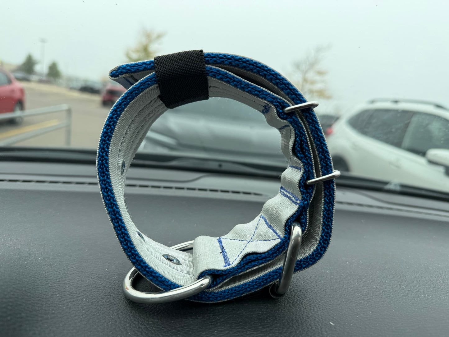 2 Inch Wide Blue On Silver Heavy Duty 5 Ply Seatbelt Collar