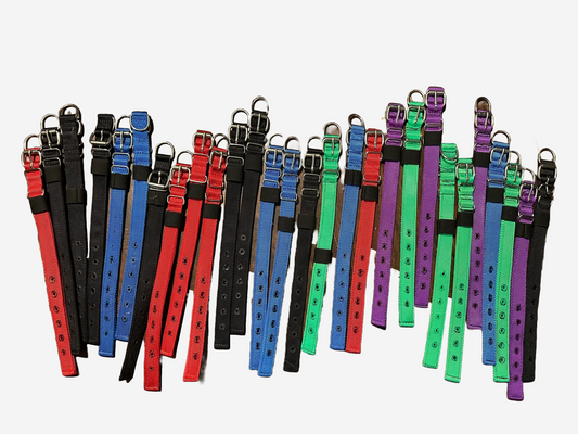 1 Inch Wide Nylon Puppy Collar