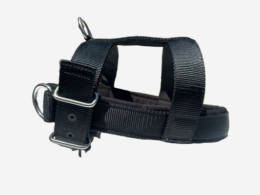 Closed Front Walking Padded Pull Harness