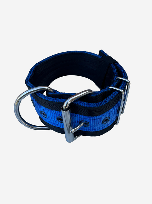 2 Inch Wide Blue On Black Heavy Duty 5 Ply Setbelt Collar