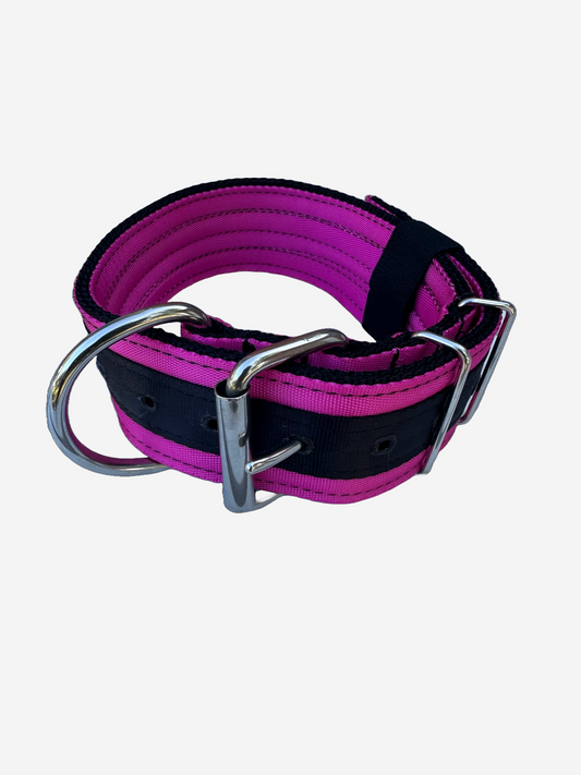 2 Inch Wide Black On Pink Heavy Duty 5 Ply Seatbelt Collar