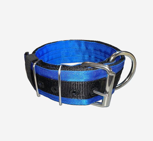 2 Inch Wide Black On Blue 5 Ply Heavy Duty Seatbelt Collar