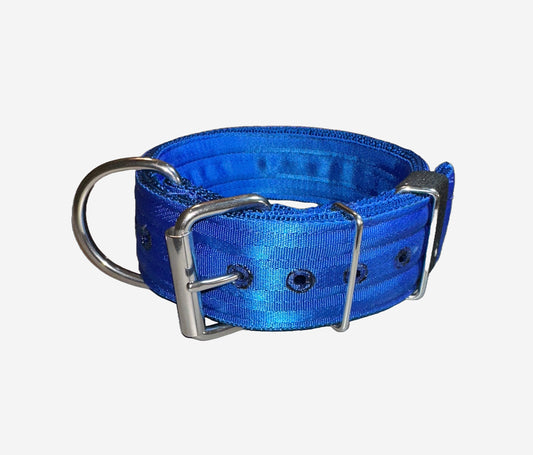 2 Inch Wide Blue Heavy Duty 4 Ply Seatbelt Collar