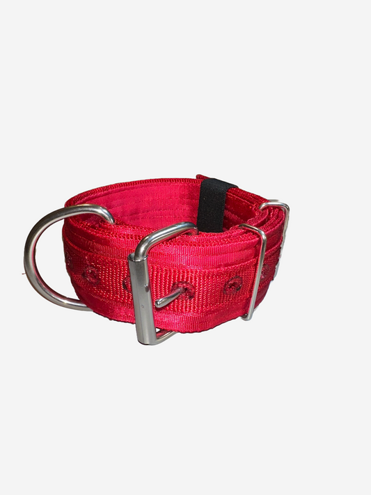 2 Inch Wide Red On Red Heavy Duty 5 Ply Seatbelt Collar