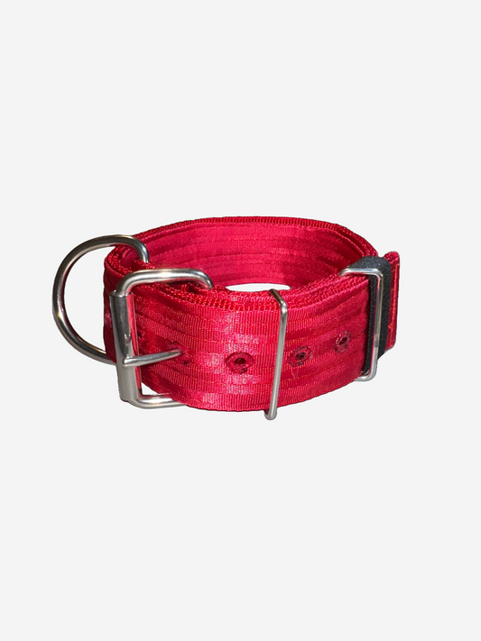 2 Inch Wide Red Heavy Duty 4 Ply Seatbelt Collar