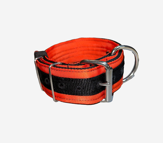 2 Inch Wide Black On Orange Heavy Duty 5 Ply Seatbelt Collar