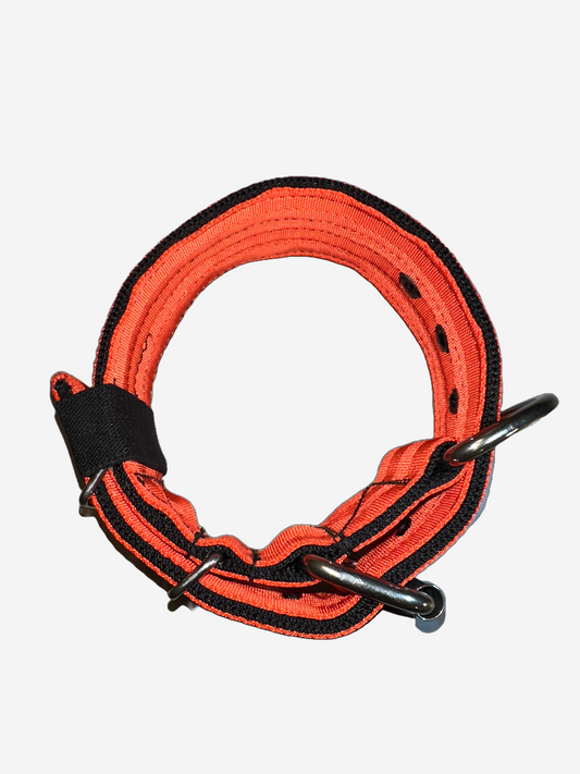 2 Inch Wide Orange And Black Heavy Duty Seatbelt Collar