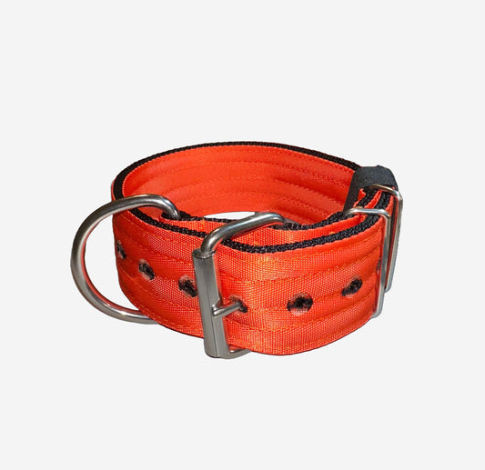 2 Inch Wide Orange And Black Heavy Duty Seatbelt Collar