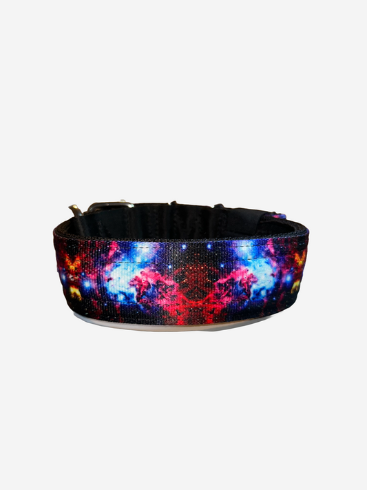 2 Inch Wide Galaxy Heavy Duty 5 Ply Seatbelt Collar