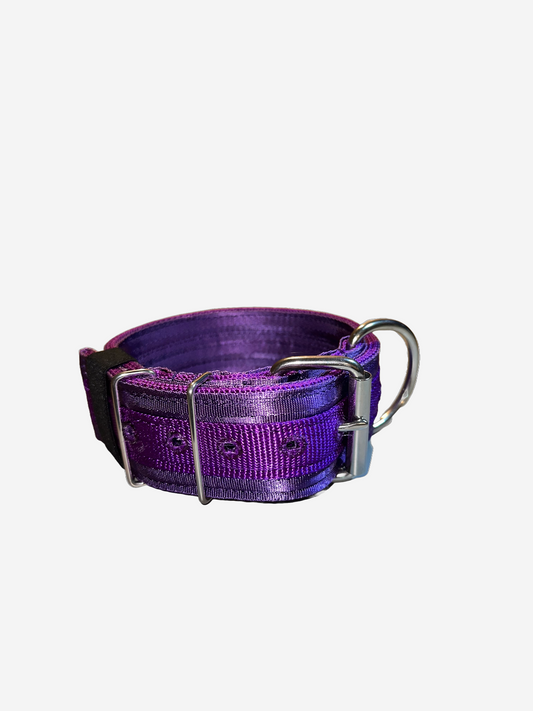 2 Inch Wide Purple On Purple Heavy Duty 5 Ply Seatbelt Collars
