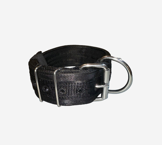 2 Inch Wide Black On Black Heavy Duty 5 Ply Seatbelt Collar