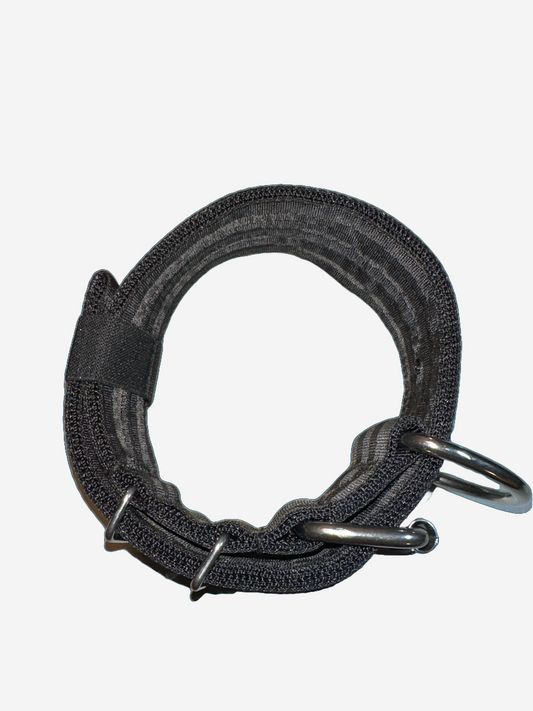 2 Inch Wide Digital Camo Heavy Duty 5 Ply Seatbelt Collar