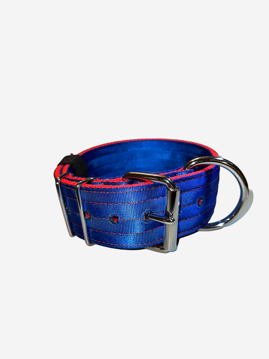 2 Inch Wide Blue And Red Heavy Duty 4 Ply Seatbelt Collar
