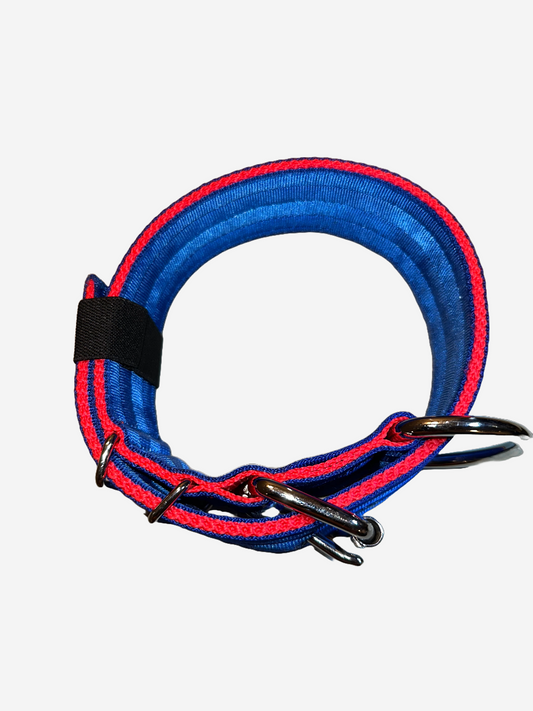 2 Inch Wide Blue And Red Heavy Duty 4 Ply Seatbelt Collar