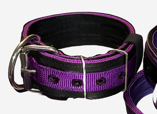 2 Inch Wide Purple On Black Heavy Duty 5 Ply Seatbelt Collar