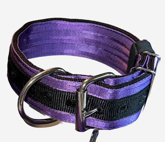 2 Inch Wide Black On Purple Heavy Duty 5 Ply Seatbelt Collar