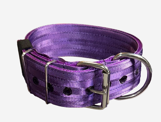 2 Inch Wide Purple Heavy Duty 4 ply Seatbelt Collar