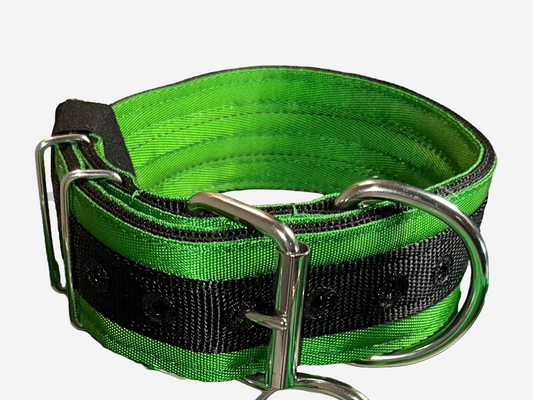 2 Inch Wide Black On Green Heavy Duty 5 Ply Seatbelt Collar