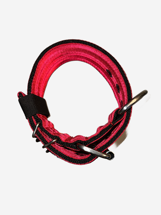 2 Inch Wide Black On Red Heavy Duty 5 Ply Seatbelt Collars