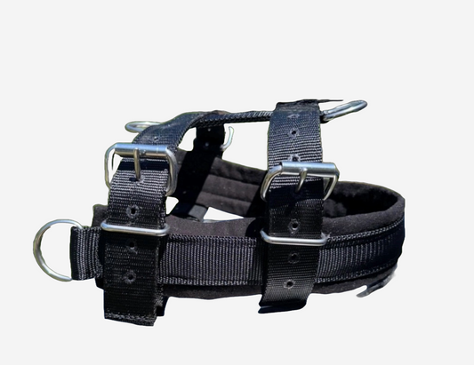Adjustable Padded Walking Pull Harness