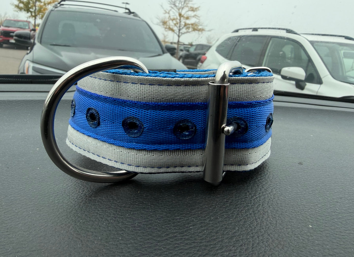 10 Pack 2 Inch Wide 25 Inch Long Heavy Duty Seatbelt Collars