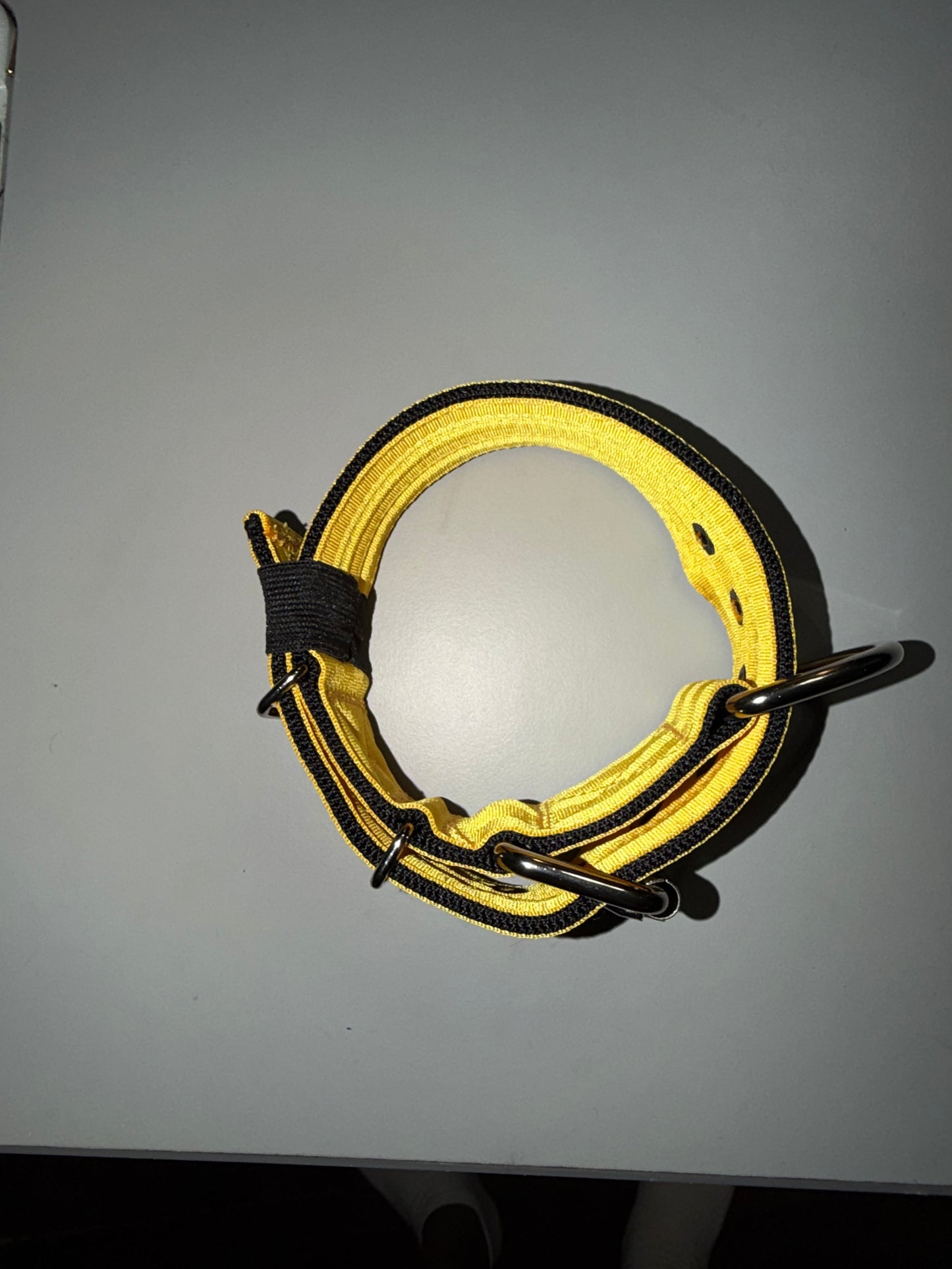 2 Inch Wide Black On Gold 5 Ply Heavy Duty Seatbelt Collar