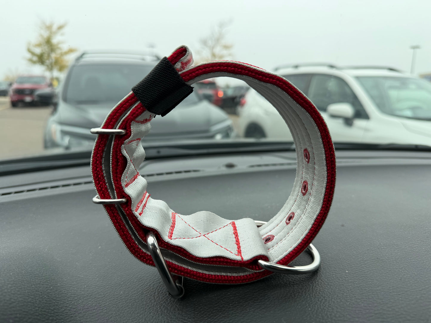 2 Inch Wide Red On Silver 5 Ply Heavy Duty Seatbelt Collar