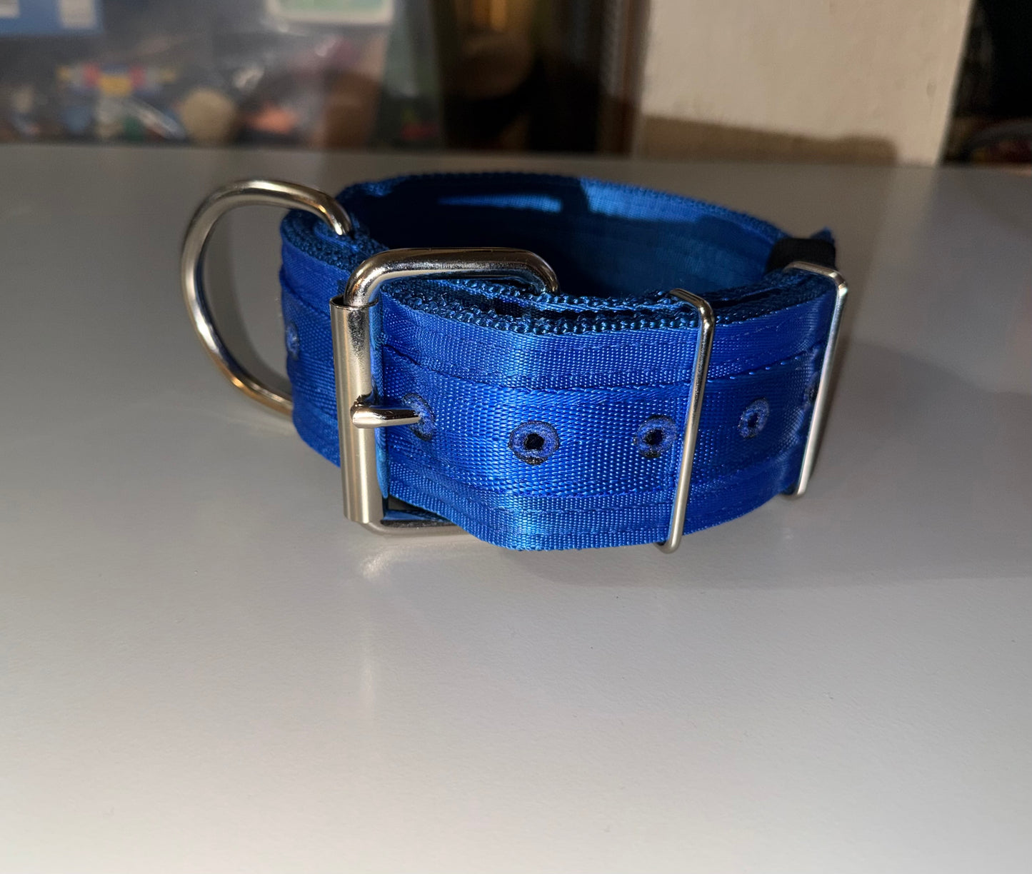 10 Pack 2 Inch Wide 25 Inch Long Heavy Duty Seatbelt Collars