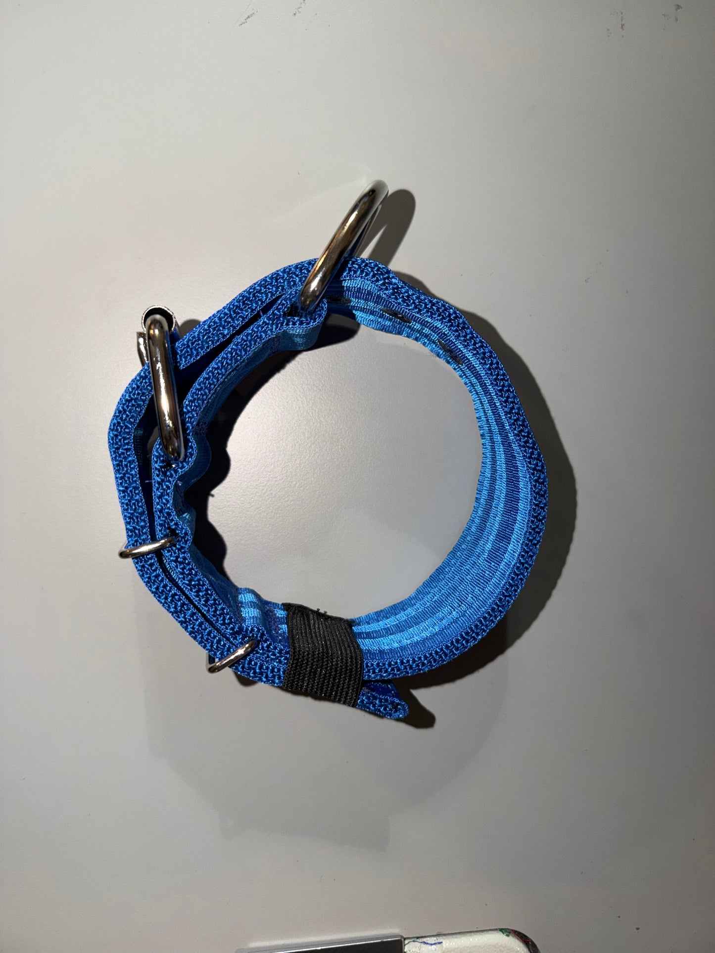2 Inch Wide 5 Ply Blue On Blue Heavy Duty Seatbelt Collar