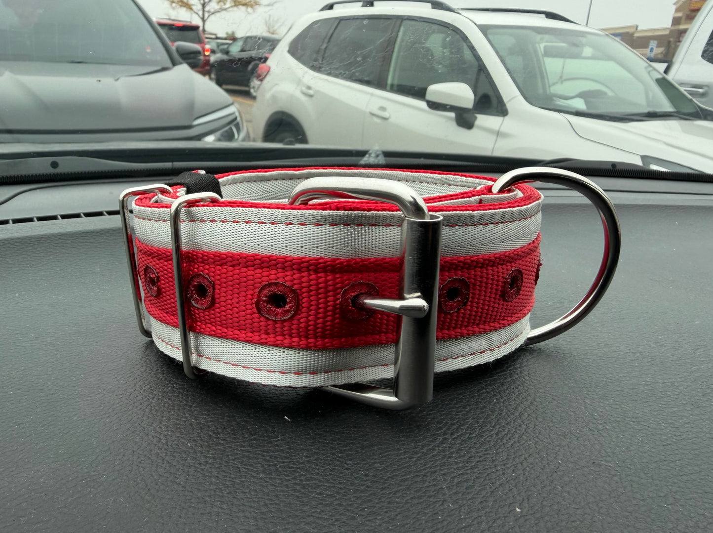 10 Pack 2 Inch Wide 25 Inch Long Heavy Duty Seatbelt Collars